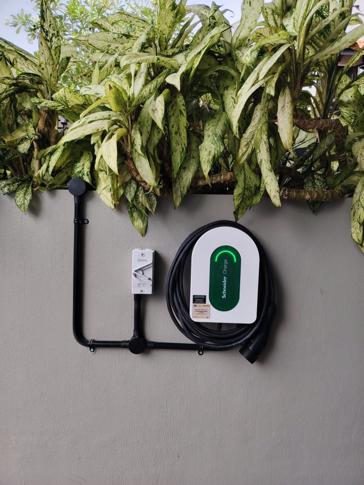 Schneider Charge AC 1